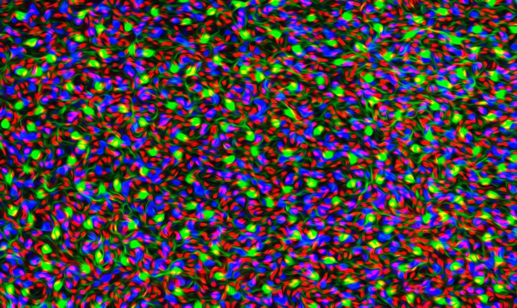 905872_10103318713049277_3612771345914718027_o