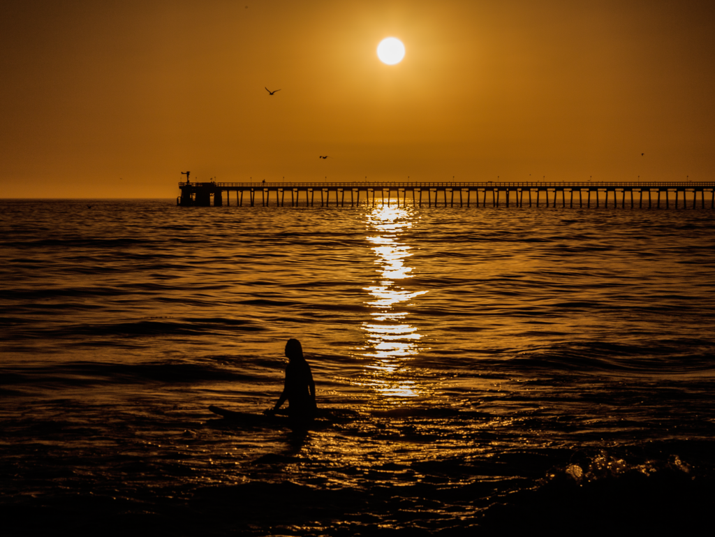 web-prepared-surfer